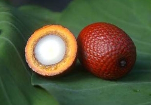 Buriti pode ser um dos novos beneficiados pela pol�tica de garantia de pre�os m�nimos