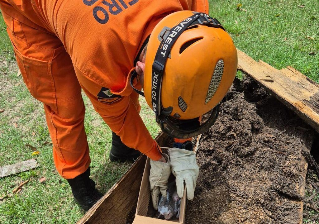 SD BM Fernando Almeida