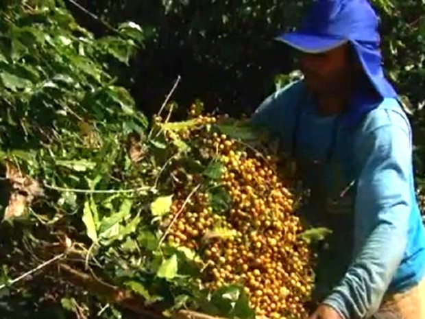 Setor de agronegcios foi um dos que gerou vagas neste ano entre as faixas salariais mais baixas