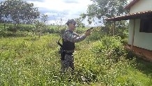 O parlamentar espera que o governo reveja a situao e tome providncias de imediato.