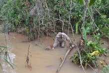 Corpo de criana de 7 anos levado por enxurrada  encontrado em Nova Olmpia