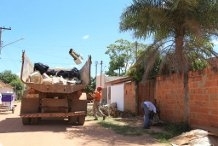 Mutiro da coleta seletiva realizado pela Prefeitura de Barra do Bugres