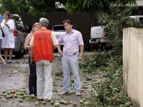 Chuva com vendaval derrubou uma rvore na rea de pronto-atendimento do Cridac, em Cuiab