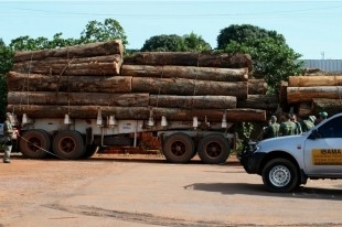 Operao Onda Verde est atuando em seis pontos estratgicos da Amaznia Legal. Dois pontos em Mato Grosso, dois no Par