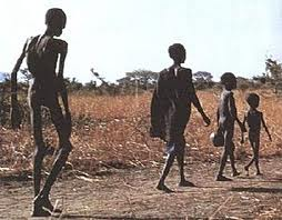 925 milhes de pessoas passam fome no mundo