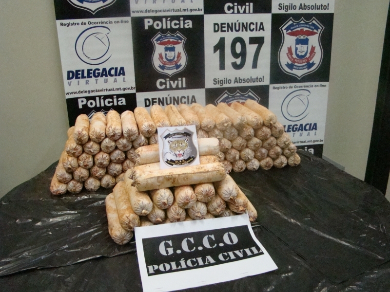 GCCO encontra dinamites enterrada em chcara.