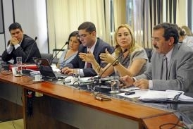 Secretria Roseli Barbosa  vice-presidente do Fonseas