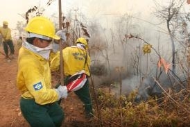 Projeto Quadrante este ano chega a sua 10 edio.