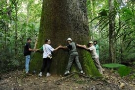Conatus 2011  uma realizao da Fundao Neotrpica do Brasil em parceria com o Governo do Estado de Mato Grosso.