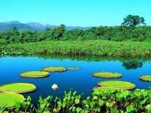 Parque Estadual do Rio Negro: atrao para a Copa do Mundo 