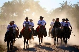 O Curso de Vaqueiro e Doma Racional integram aes do Projeto Parceria Rural Pecuria