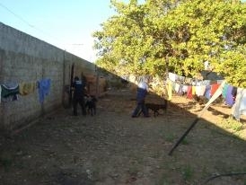 Policiais procuram drogas com ajuda de ces farejadores da DRE.