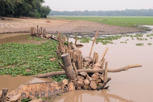 A baa  uma das trs maiores do pantanal mato-grossense