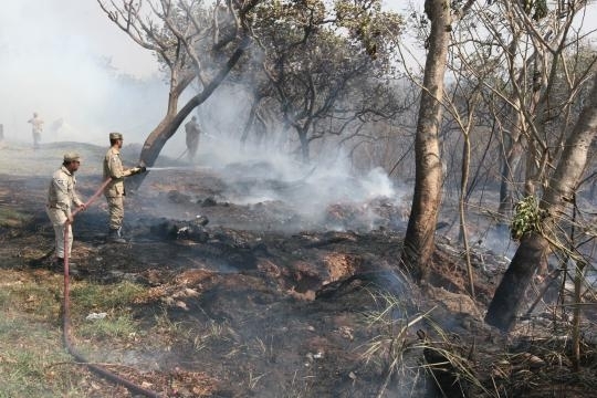 O perodo de proibio para o uso do fogo na limpeza e manejo de reas foi prorrogado em razo das condies climticas