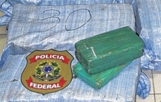 Quase 2 toneladas de maconha apreendidas durante investigao