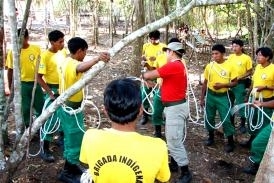 Combate ao fogo foi assinada nesta quinta-feira (17.06)