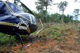 Fiscalizao da Sema no combate ao desmatamento