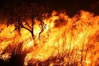 Perodo mais seco deixa solo com baixa concentrao de gua. Vegetao seca  inflamvel
