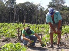 Alterao na lei vai prorrogar a vigncia do programa Terra Legal