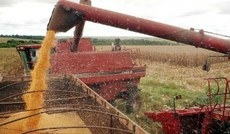 Em relação a 2016, são esperados aumentos na produção de todas as regiões: 25,2% no Centro-Oeste, 9,4% no Sul, 10,0% no Sudeste, 89,0% no Nordeste e 16,0% no Norte