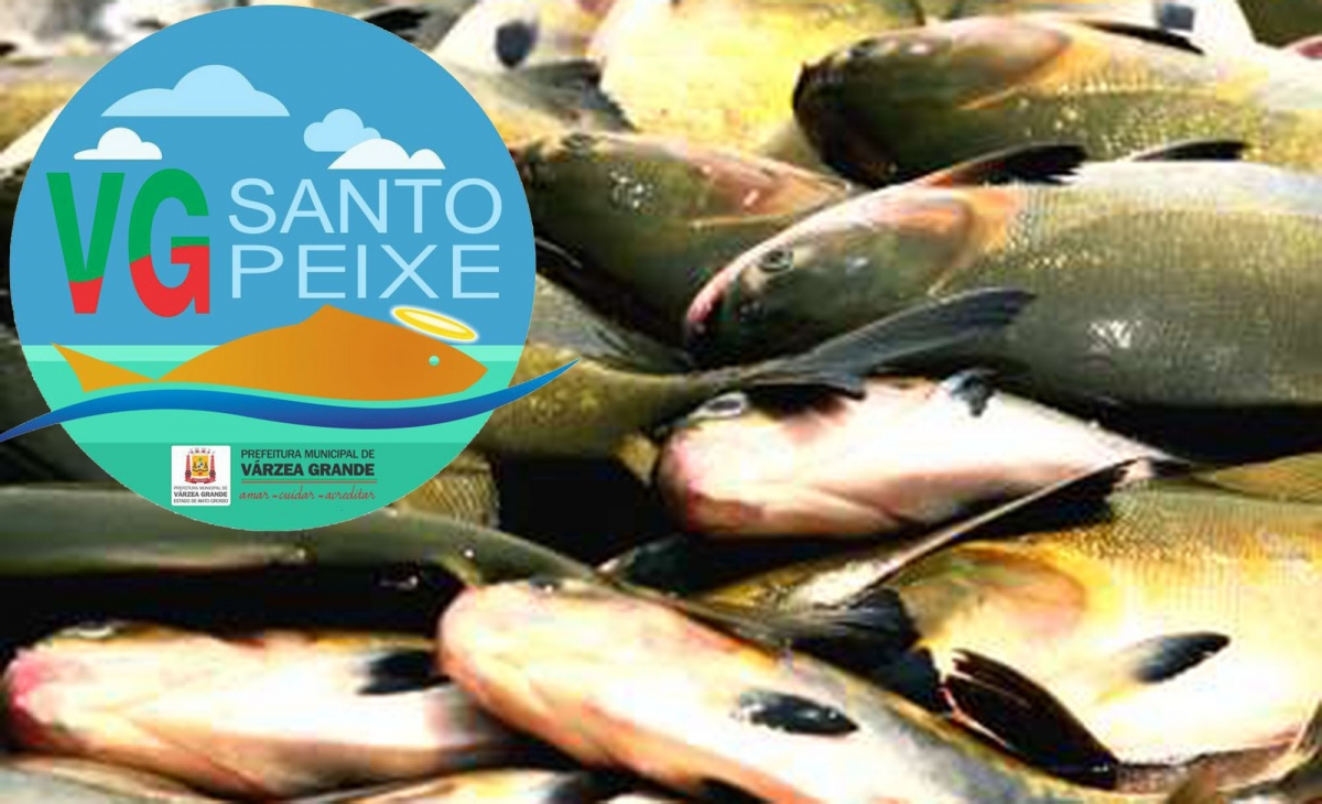 As vendas começam na próxima segunda-feira. Serão disponibilizadas cerca de 3 toneladas de peixes com preço de R$ 8,50 o quilo.