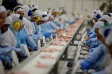 Cancelamentos esto entre os 21 frigorficos sob suspeita e investigados pela Operao Carne Fraca