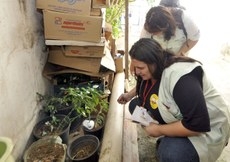 Mobilizao contra o mosquito ocorrer em todo o Pas