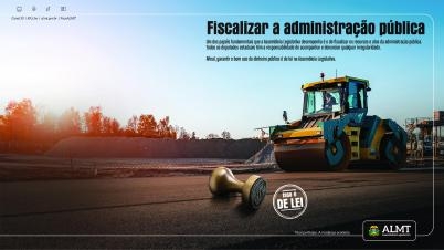 Pea publicitria  