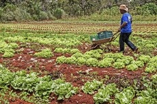 Ministro da Agricultura, Blairo Maggi, defende que a agricultura familiar seja integrada ao ministrio