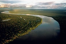 A Amaznia Legal  composta pelo Acre, Amap, Amazonas, Par, Rondnia, Roraima, Tocantins, Mato Grosso e Maranho