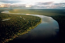 A Amazônia Legal é composta pelo Acre, Amapá, Amazonas, Pará, Rondônia, Roraima, Tocantins, Mato Grosso e Maranhão