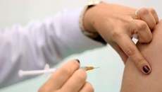 A cada ano, existem diferentes tipos da gripe que podem ser causadas por outros tipos de vrus
