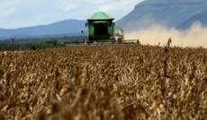 Plano Safra  lanado sempre no incio do ano agrcola, em 1 de julho de cada ano