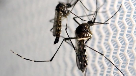 Imagem  representao da superfcie do vrus da zika