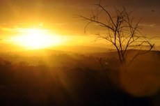 Desenvolvimento do site atende ao proposto na Política Nacional sobre Mudança do Clima