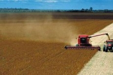 Área plantada deve ter um acréscimo de 13,5%, saindo de 74 milhões de hectares para 84 milhões de hectares