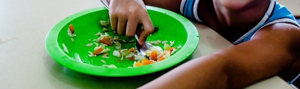 Levantamento do TCE detalha dados da merenda escolar