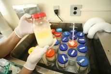 A cada 300 mL doados, dez recm-nascidos so alimentados