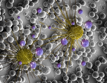 Cientistas buscam por pedaços de DNA do tumor no sangue para detectar câncer
