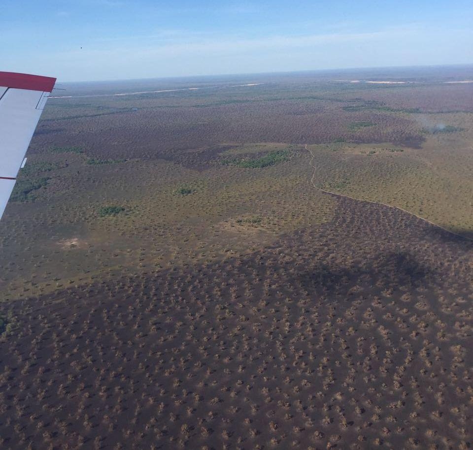 Fogo extinto no PE do Araguaia