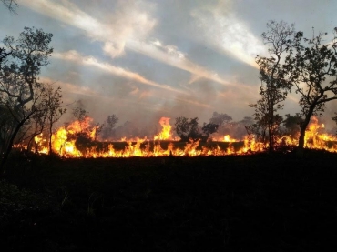 Chamas avanam mesmo sobre reas alagadas 