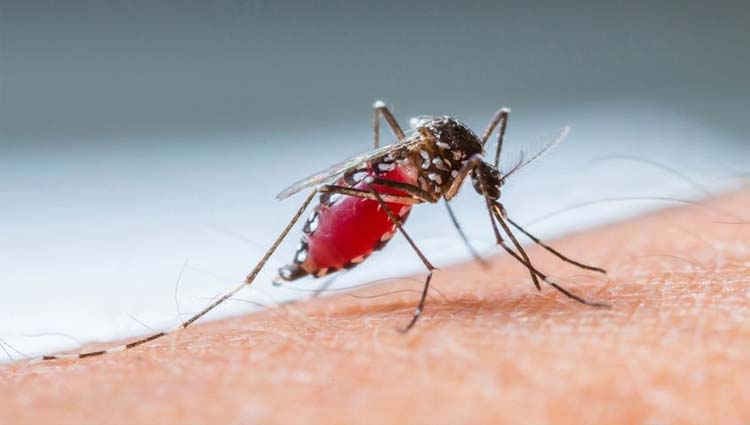 No próximo dia 2 de fevereiro, a prefeitura inicia a Operação “Todos Unidos: Várzea Grande contra a Dengue”