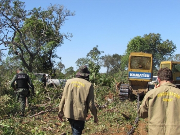 Multas na região do Pantanal são mais altas, já que se trata de uma área de proteção especial