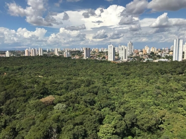 A previso  que o servio esteja em funcionamento no final de junho