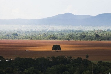 Marcelo Camargo/Agncia Brasil
