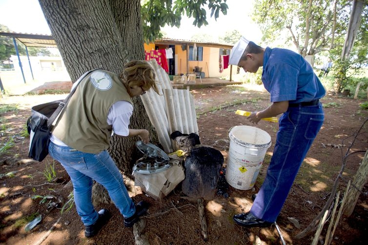 Acmulo de gua e lixo pode ocasionar aumento no nmero de mosquitos Aedes aegypti   (Arquivo/Marcelo Camargo/Agncia Brasil)