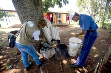 Acúmulo de água e lixo pode ocasionar aumento no número de mosquitos Aedes aegypti (Arquivo/Marcelo Camargo/Agência Brasil)