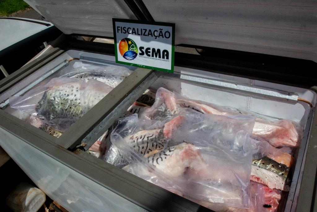 Dezembro foi o ms com maior nmero de ocorrncias, com mais de 4 toneladas de peixe apreendidas