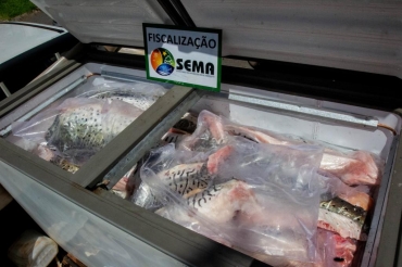 Dezembro foi o mês com maior número de ocorrências, com mais de 4 toneladas de peixe apreendidas