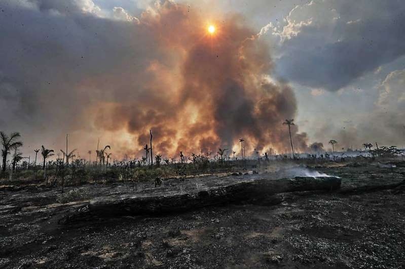 © GABRIELA BILO / ESTADAO Há evidências de que a destruição da floresta tropical teria um impacto devastador sobre as temperaturas globais, sobre os padrões climáticos e a agricultura